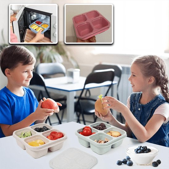 belle boite de rangement en plastique de qualité avec compartiment, idéal pour les lunch de petit et grand