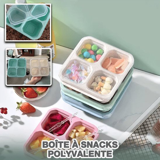 belle boite de rangement en plastique de qualité avec compartiment, idéal pour les lunch de petit et grand