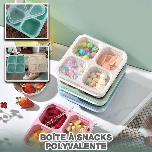belle boite de rangement en plastique de qualité avec compartiment, idéal pour les lunch de petit et grand